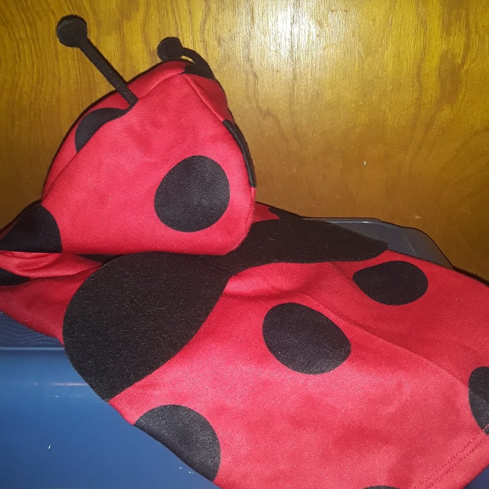 Ladybug Costume For Dogs
